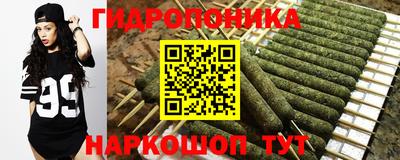 соль ск Кулебаки