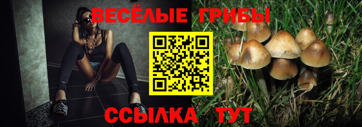 Псилоцибиновые грибы ЛСД Аксай